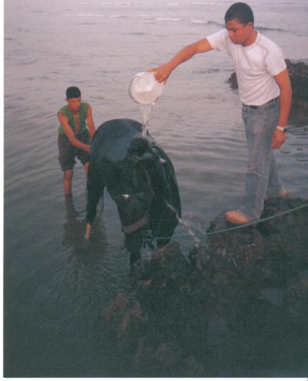  : je suis devenue mesiou tous le mond